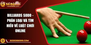 Billiards SODO - Phân Loại Và Tìm Hiểu Về Luật Chơi Online