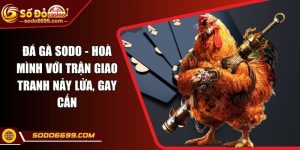 Đá Gà SODO - Hoà Mình Với Trận Giao Tranh Nảy Lửa, Gay Cấn