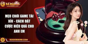 Mẹo Chơi Game Tài Xỉu - Cách Đặt Cược Hiệu Quả Cho Anh Em
