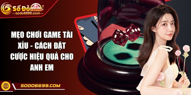 Mẹo Chơi Game Tài Xỉu - Cách Đặt Cược Hiệu Quả Cho Anh Em
