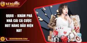 QQ88 – Khám Phá Nhà Cái Cá Cược Hot Hàng Đầu Hiện Nay