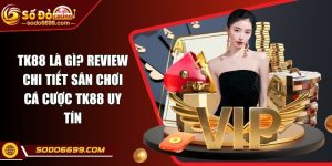 TK88 Là Gì? Review Chi Tiết Sân Chơi Cá Cược TK88 Uy Tín